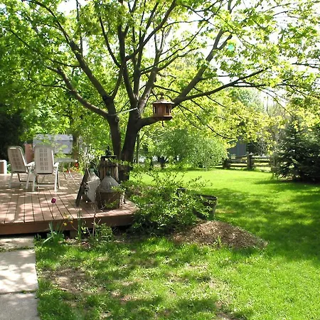 Argus House Bed and Breakfast